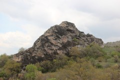 IMG_5948