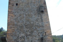 IMG_5981