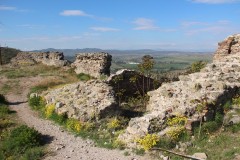 IMG_6009