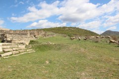 IMG_6052