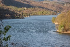 IMG_6070