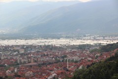 IMG_6101