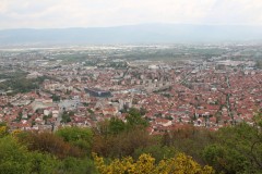IMG_6105