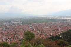 IMG_6106