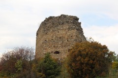 IMG_6111