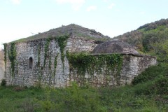 IMG_6146