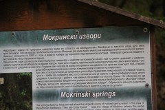 IMG_6153