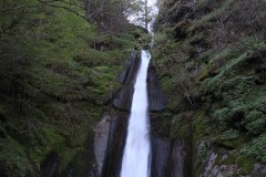 IMG_6157
