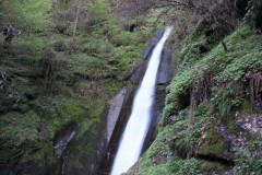 IMG_6158