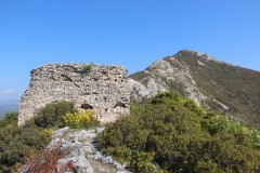 IMG_6170