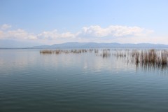 IMG_6177