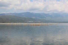 IMG_6179