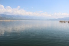 IMG_6180
