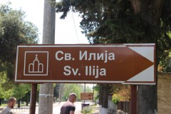 IMG_6181