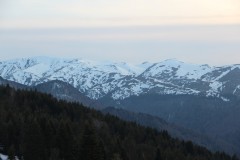 IMG_6209