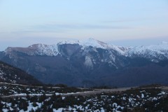 IMG_6212