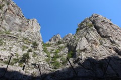 IMG_6234