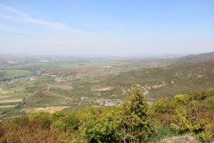 IMG_6244