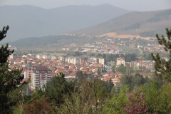IMG_6434