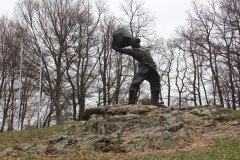 IMG_6442