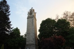 IMG_6511