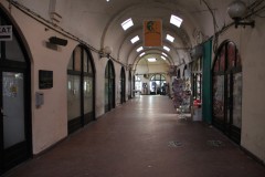 IMG_6517