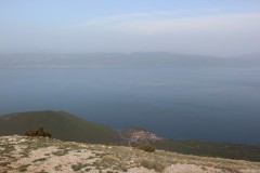 IMG_6619