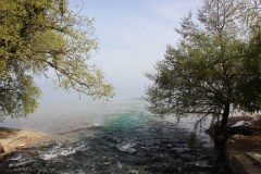 IMG_6650