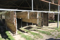 IMG_6798