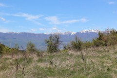 IMG_6824