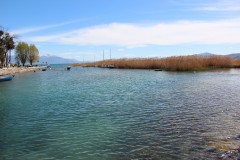 IMG_6846