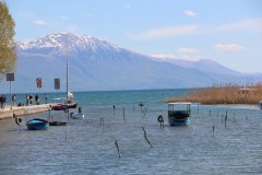 IMG_6847