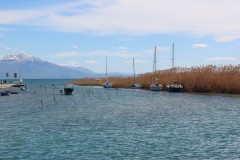 IMG_6848