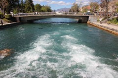 IMG_6849