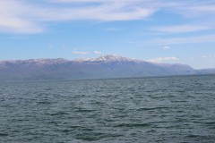 IMG_6854
