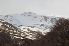 IMG_6869
