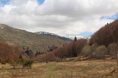 IMG_6870