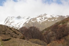 IMG_6871