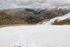 IMG_6874