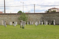 IMG_6889