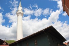 IMG_6903
