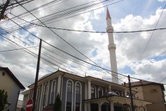 IMG_6911