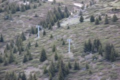 IMG_6917