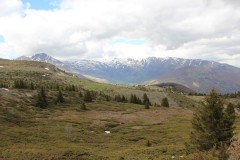 IMG_6925