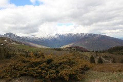 IMG_6929