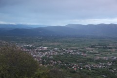 IMG_6943