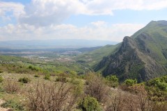 IMG_6969