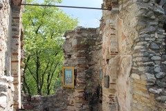 IMG_6984