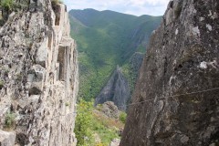 IMG_6988