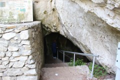 IMG_7005